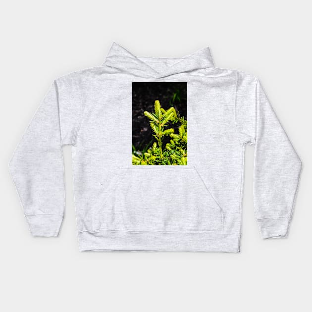 Evergreen in the Sun Kids Hoodie by srosu